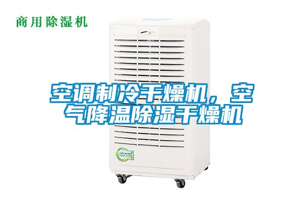 空調(diào)制冷干燥機(jī),空氣降溫除濕干燥機(jī)