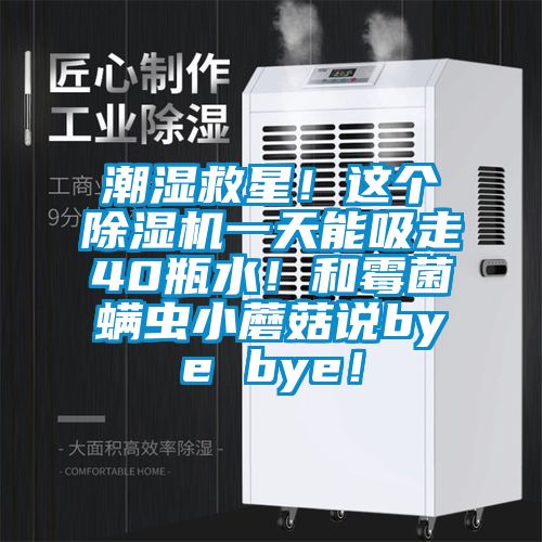 潮濕救星!這個除濕機(jī)一天能吸走40瓶水!和霉菌螨蟲小蘑菇說bye bye!