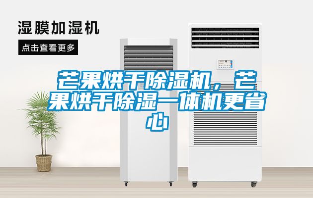 芒果烘干除濕機,芒果烘干除濕一體機更省心