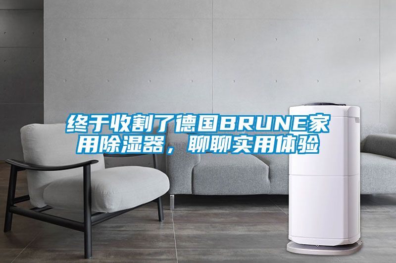 終于收割了德國BRUNE家用除濕器,聊聊實用體驗
