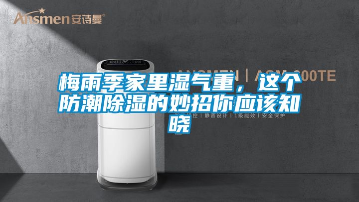 梅雨季家里濕氣重，這個防潮除濕的妙招你應該知曉