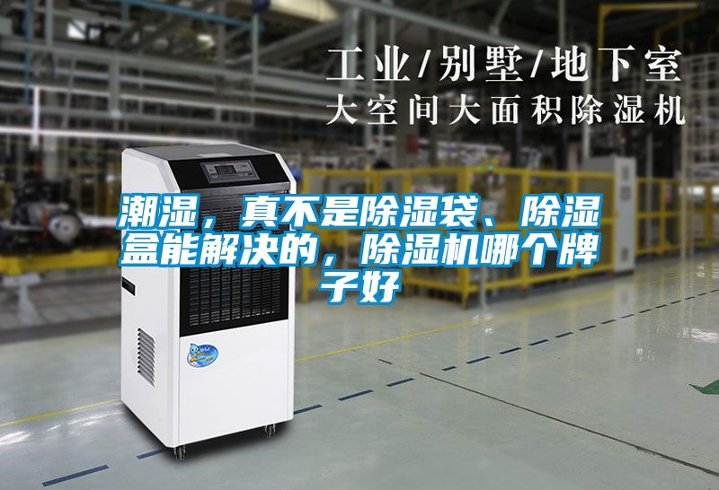 潮濕，真不是除濕袋、除濕盒能解決的，除濕機哪個牌子好