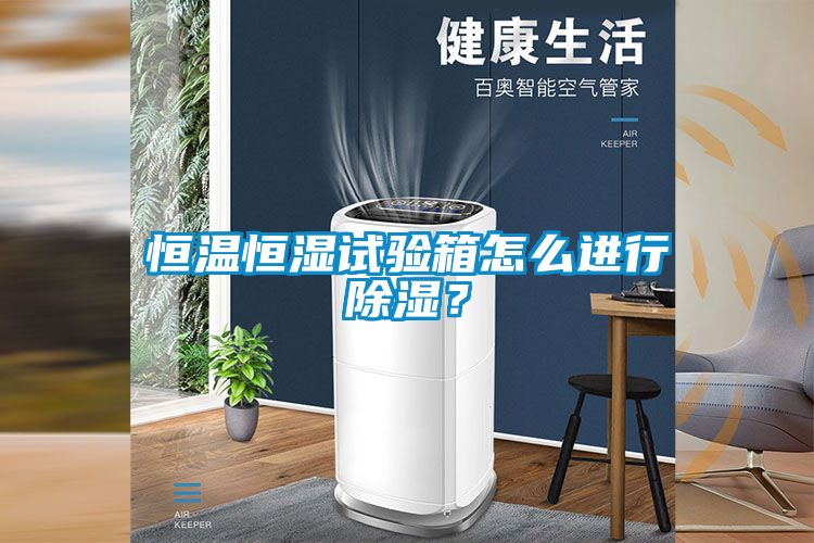 恒溫恒濕試驗箱怎么進行除濕?