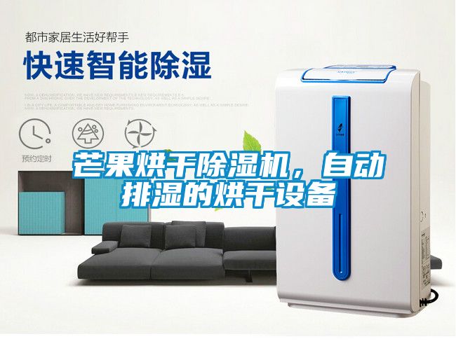 芒果烘干除濕機,自動排濕的烘干設備