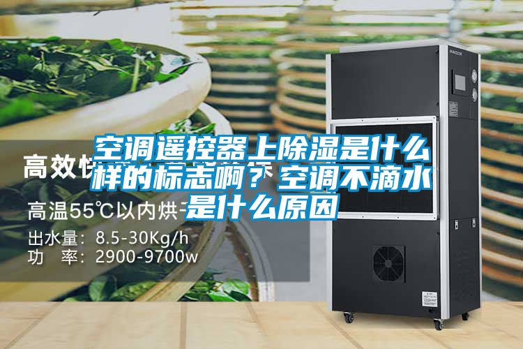 空調遙控器上除濕是什么樣的標志啊?空調不滴水是什么原因