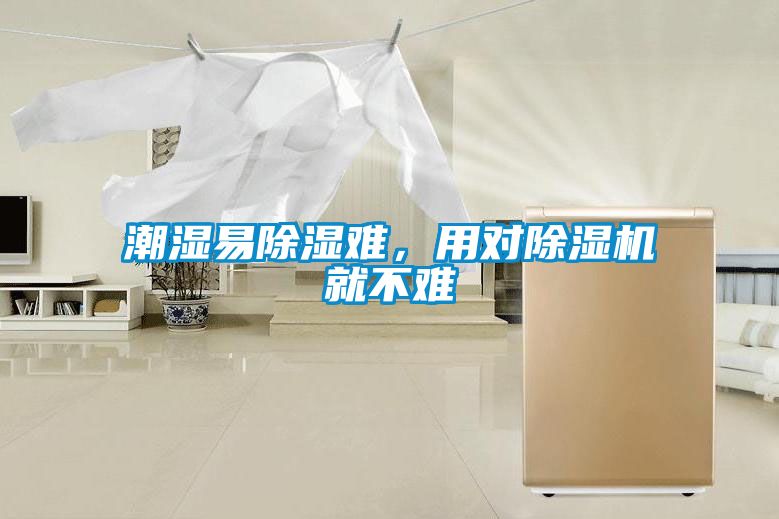 潮濕易除濕難,用對除濕機就不難