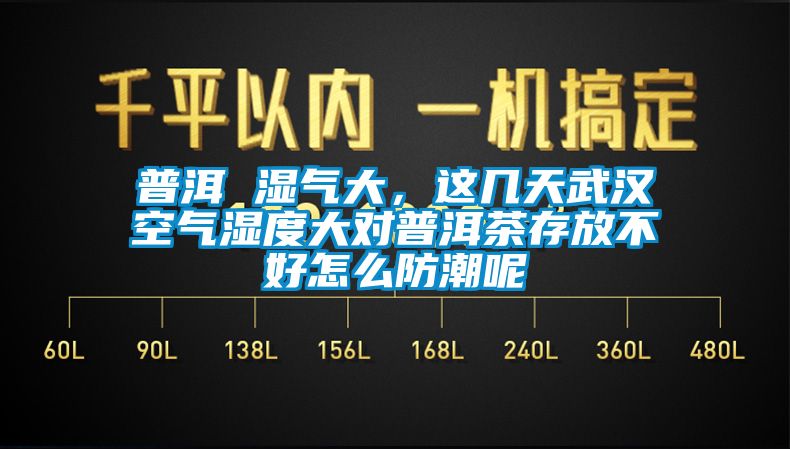 普洱 濕氣大，這幾天武漢空氣濕度大對(duì)普洱茶存放不好怎么防潮呢