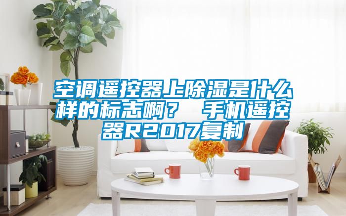 空調遙控器上除濕是什么樣的標志啊? 手機遙控器R2017復制
