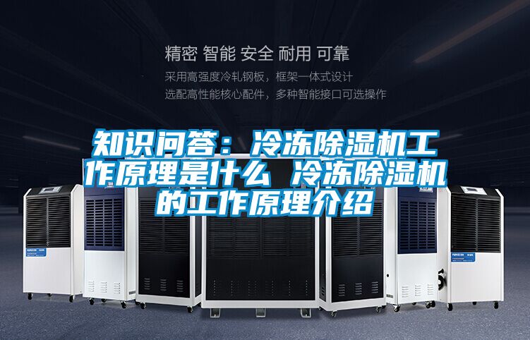 知識(shí)問答:冷凍除濕機(jī)工作原理是什么 冷凍除濕機(jī)的工作原理介紹