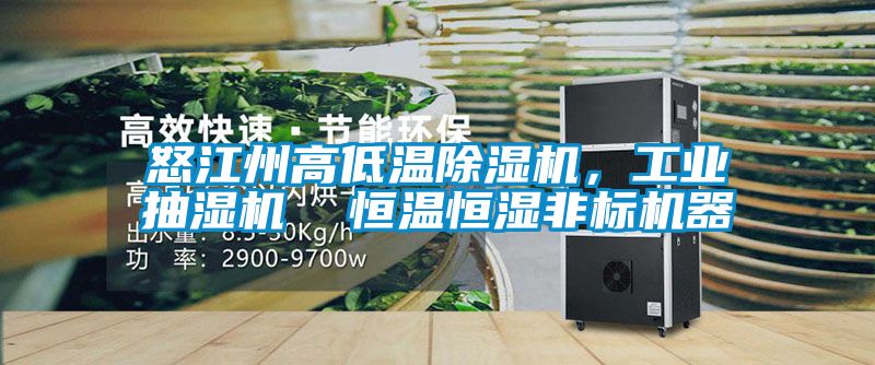 怒江州高低溫除濕機(jī),工業(yè)抽濕機(jī)  恒溫恒濕非標(biāo)機(jī)器