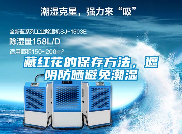 藏紅花的保存方法,遮陰防曬避免潮濕