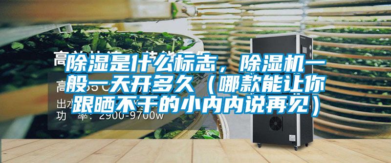 除濕是什么標(biāo)志,除濕機(jī)一般一天開多久(哪款能讓你跟曬不干的小內(nèi)內(nèi)說再見)