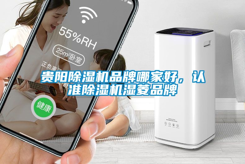 貴陽除濕機品牌哪家好，認(rèn)準(zhǔn)除濕機濕菱品牌