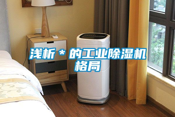 淺析*的工業(yè)除濕機(jī)格局