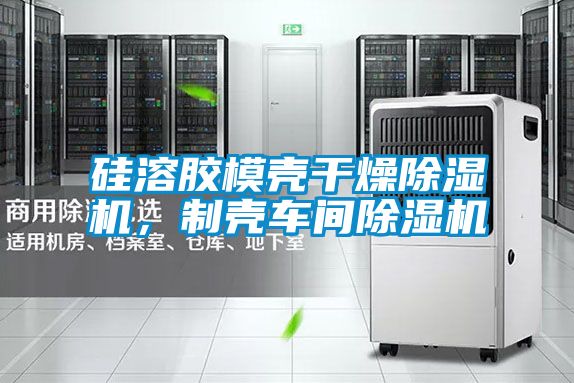 硅溶膠模殼干燥除濕機，制殼車間除濕機