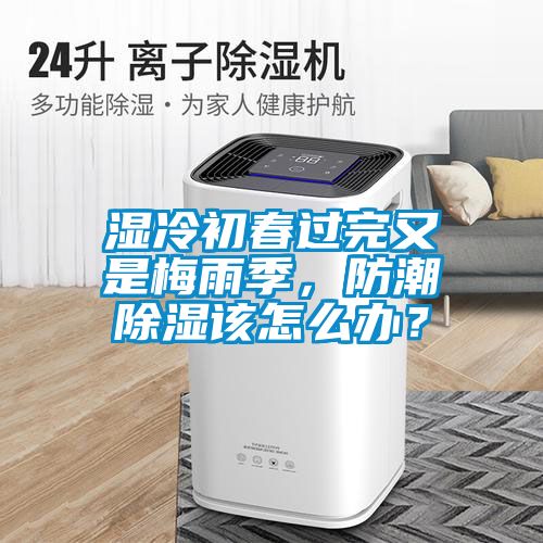 濕冷初春過完又是梅雨季,防潮除濕該怎么辦?