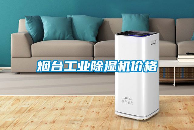 煙臺工業(yè)除濕機(jī)價(jià)格