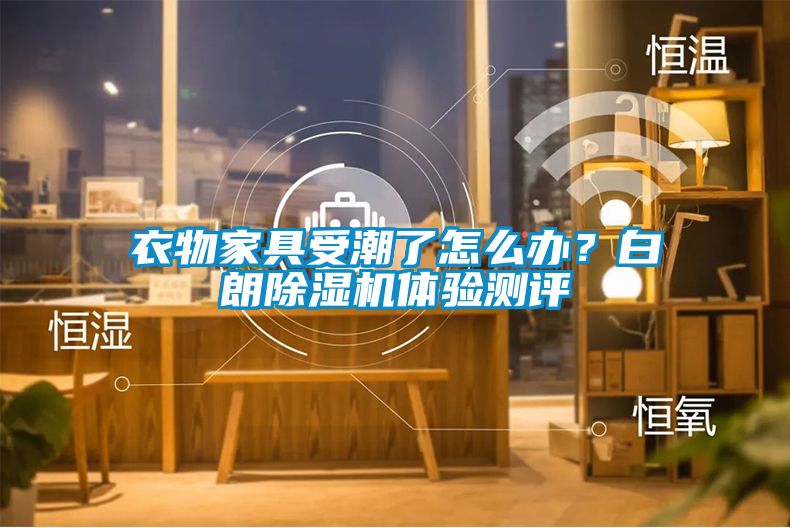 衣物家具受潮了怎么辦?白朗除濕機體驗測評