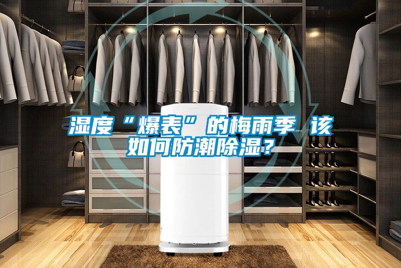 濕度“爆表”的梅雨季 該如何防潮除濕?