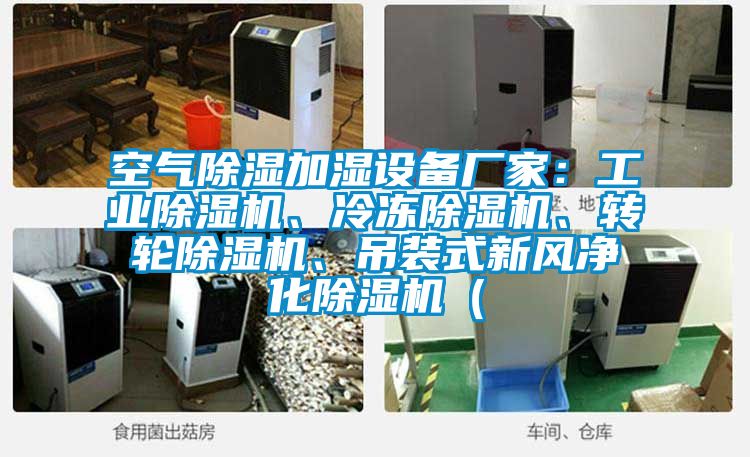 空氣除濕加濕設(shè)備廠家：工業(yè)除濕機、冷凍除濕機、轉(zhuǎn)輪除濕機、吊裝式新風(fēng)凈化除濕機（