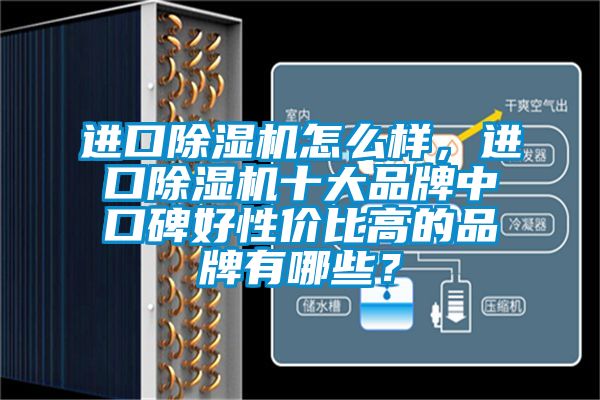 進(jìn)口除濕機(jī)怎么樣，進(jìn)口除濕機(jī)十大品牌中口碑好性價比高的品牌有哪些？