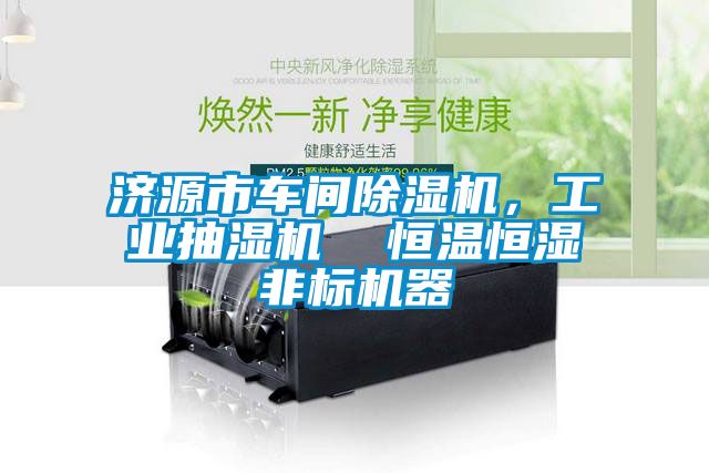 濟源市車間除濕機,工業抽濕機  恒溫恒濕非標機器