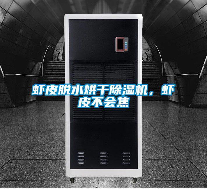 蝦皮脫水烘干除濕機,蝦皮不會焦