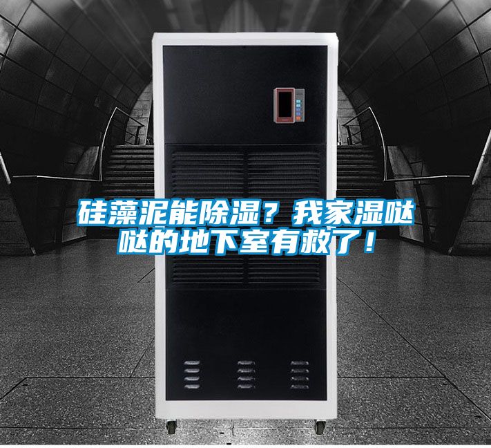 硅藻泥能除濕？我家濕噠噠的地下室有救了！
