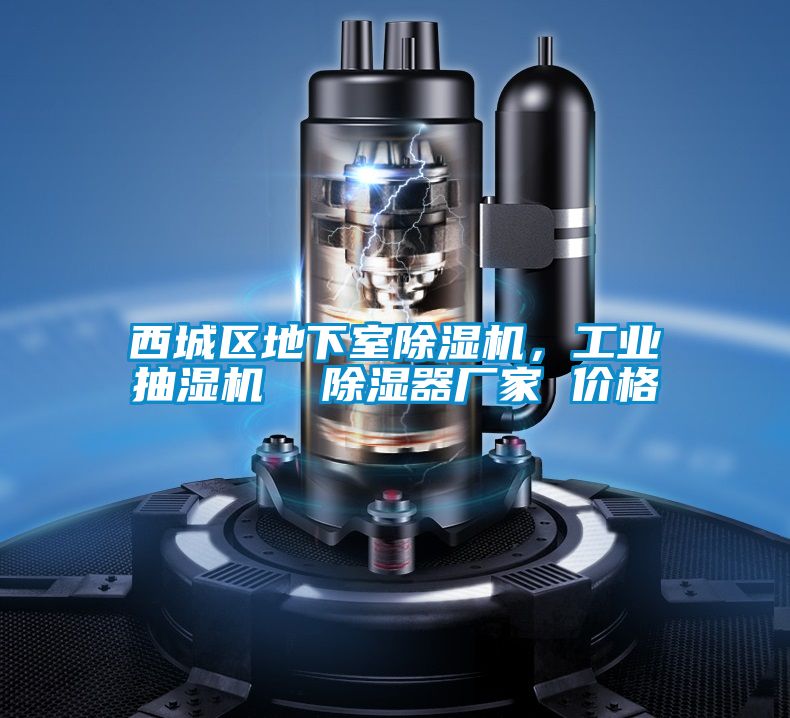 西城區(qū)地下室除濕機(jī),工業(yè)抽濕機(jī)  除濕器廠家 價(jià)格