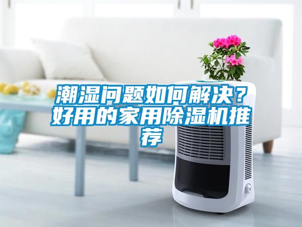 潮濕問題如何解決?好用的家用除濕機推薦