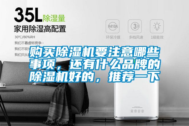 購買除濕機(jī)要注意哪些事項,還有什么品牌的除濕機(jī)好的,推薦一下