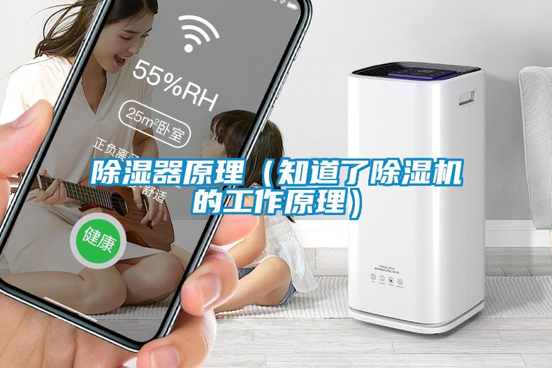 除濕器原理(知道了除濕機的工作原理)