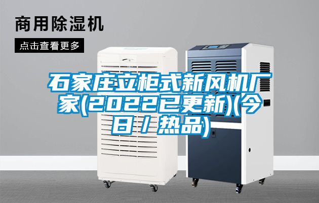 石家莊立柜式新風(fēng)機(jī)廠(chǎng)家(2022已更新)(今日/熱品)