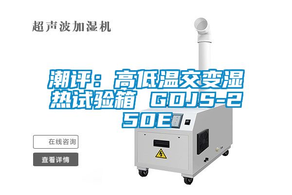 潮評:高低溫交變濕熱試驗箱 GDJS-250E