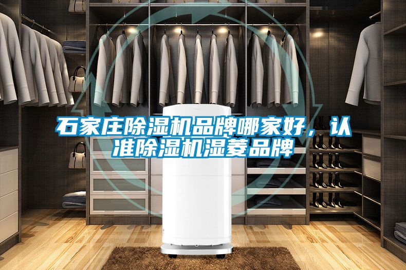 石家莊除濕機品牌哪家好，認準除濕機濕菱品牌