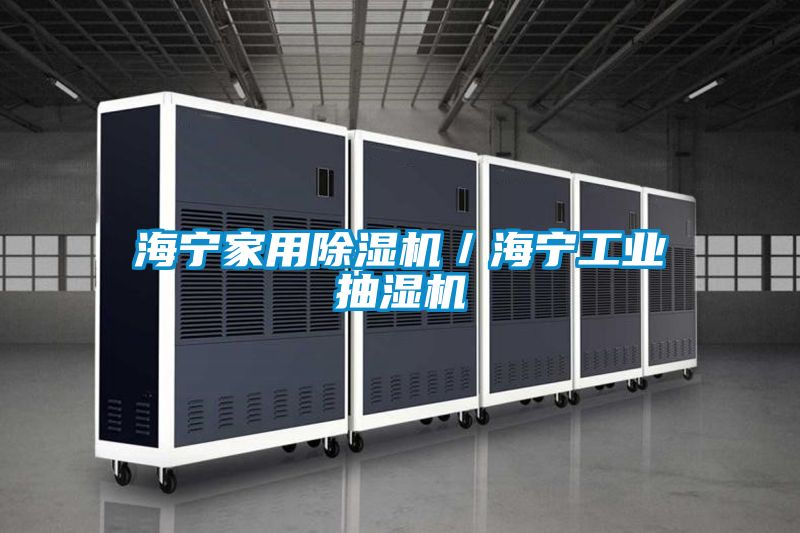 海寧家用除濕機/海寧工業(yè)抽濕機