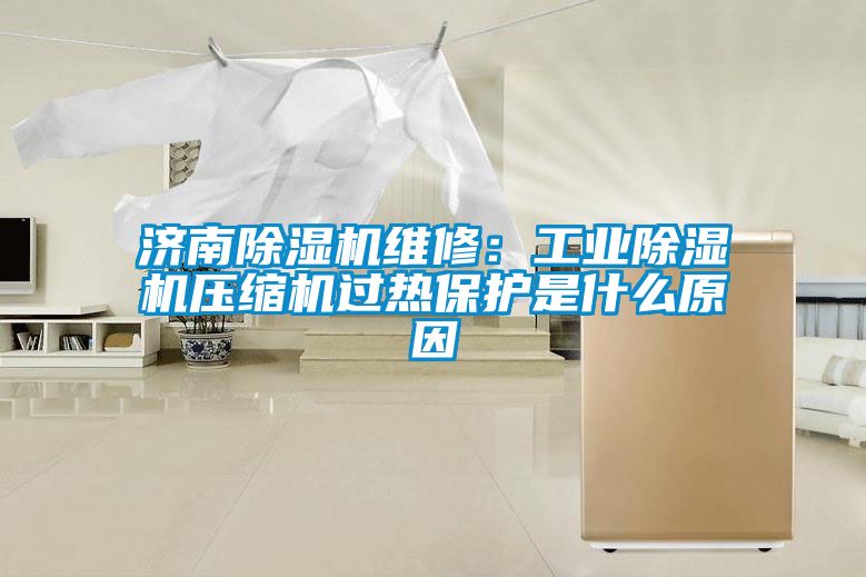 濟南除濕機維修:工業除濕機壓縮機過熱保護是什么原因