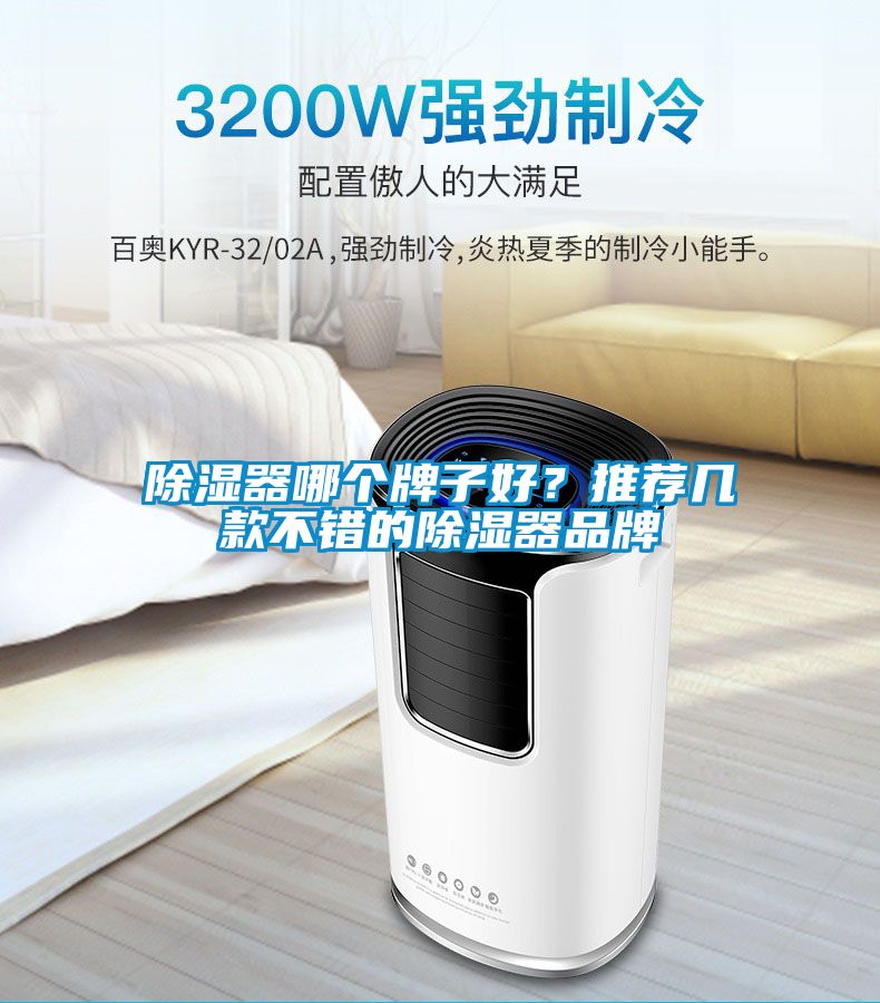 除濕器哪個牌子好?推薦幾款不錯的除濕器品牌