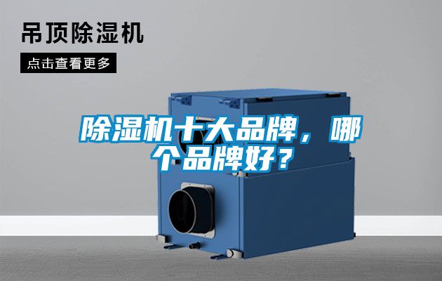 除濕機十大品牌，哪個品牌好？