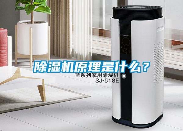 除濕機(jī)原理是什么?