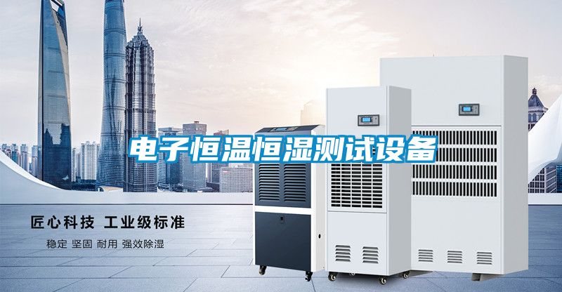 電子恒溫恒濕測(cè)試設(shè)備