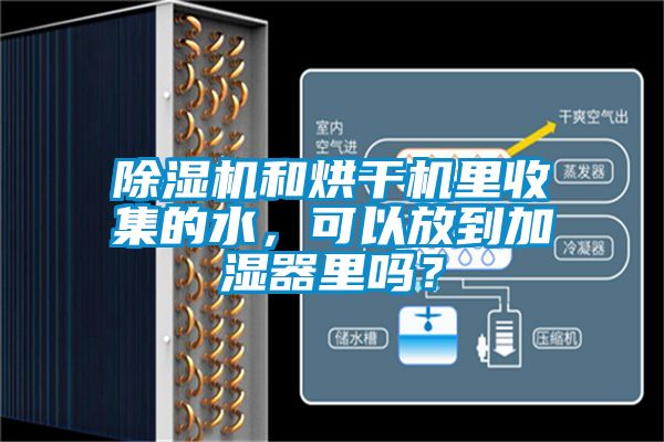 除濕機和烘干機里收集的水,可以放到加濕器里嗎?