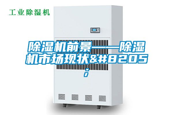 除濕機前景——除濕機市場現狀