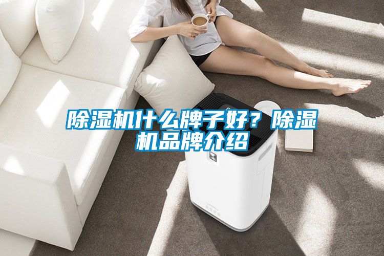 除濕機什么牌子好?除濕機品牌介紹
