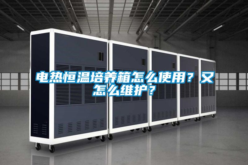電熱恒溫培養箱怎么使用？又怎么維護？
