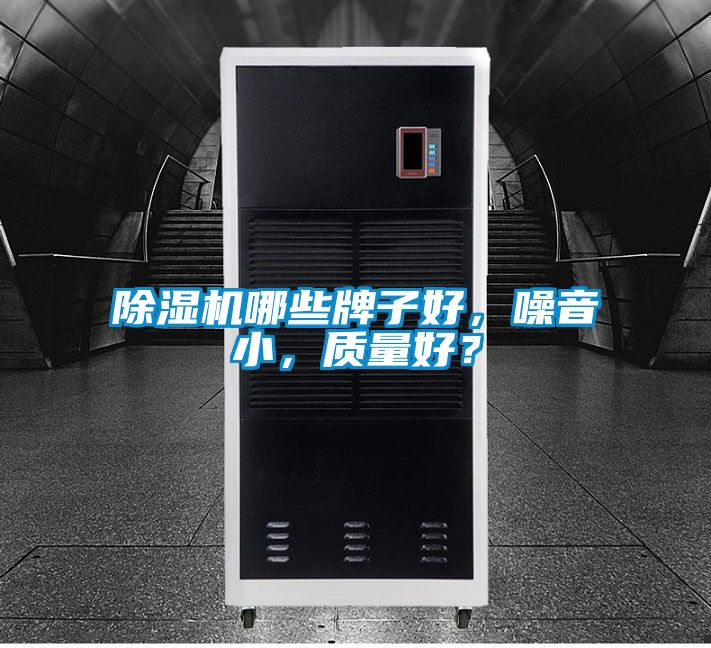 除濕機哪些牌子好，噪音小，質量好？