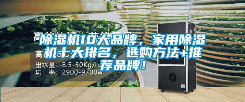 除濕機10大品牌,家用除濕機十大排名,選購方法+推薦品牌!
