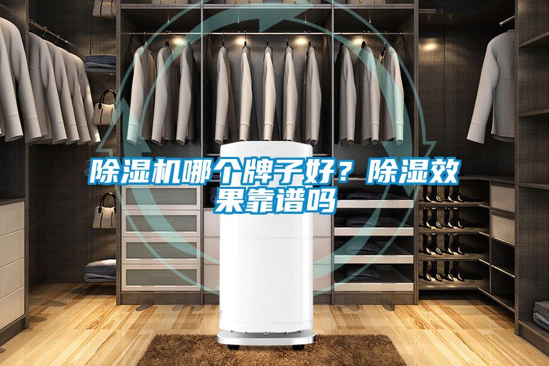 除濕機哪個牌子好?除濕效果靠譜嗎