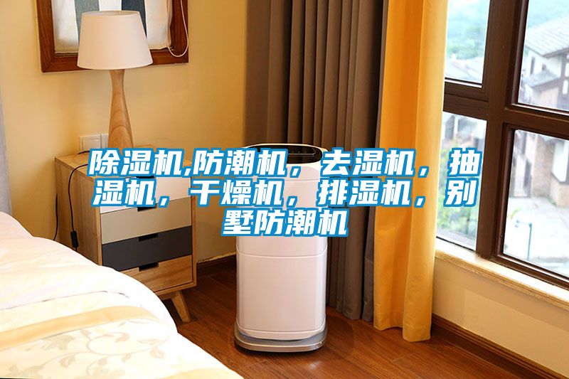 除濕機,防潮機,去濕機,抽濕機,干燥機,排濕機,別墅防潮機