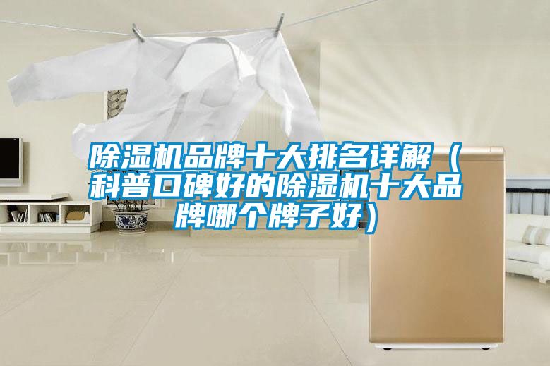 除濕機(jī)品牌十大排名詳解(科普口碑好的除濕機(jī)十大品牌哪個牌子好)
